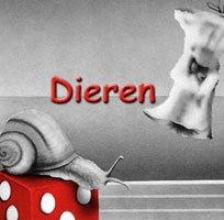 gallery/dieren