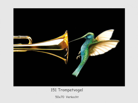 gallery/trompetvogel